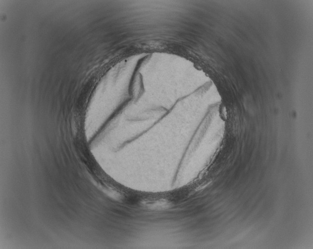 X0000078280747200612011744