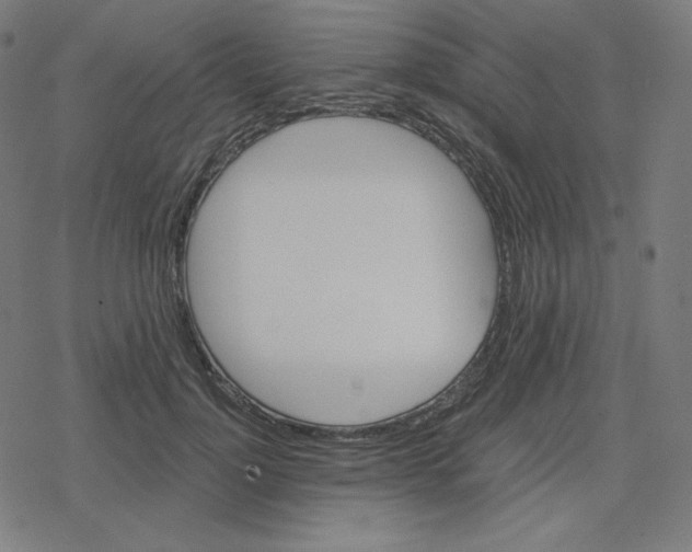 X0000078280748200612011744