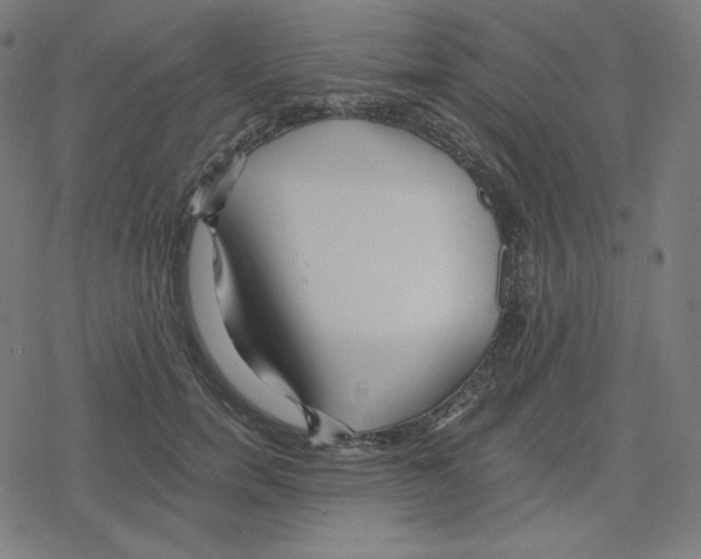 X0000078280750200612011744