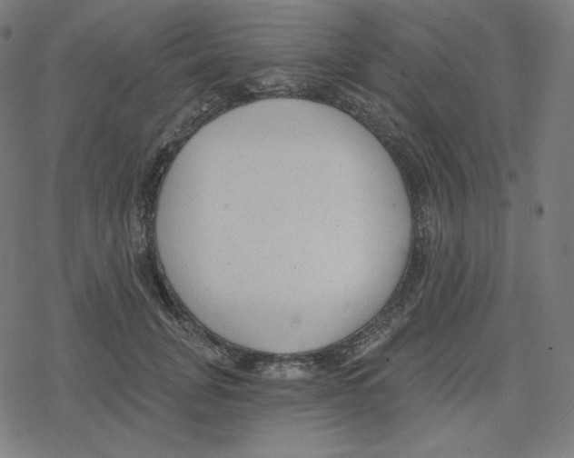 X0000078280751200612011744