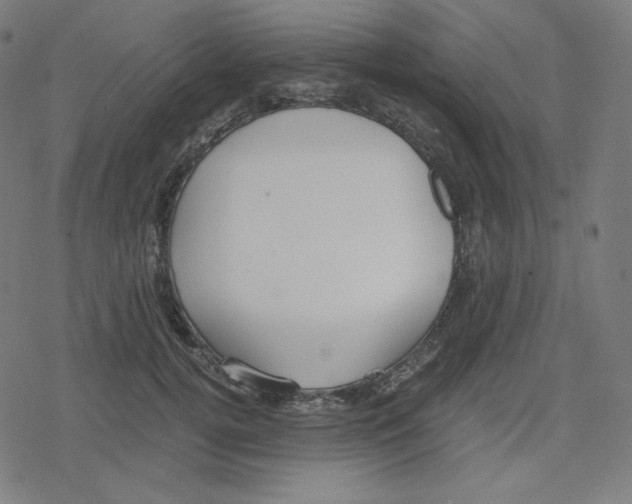 X0000078280752200612011744