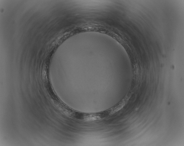 X0000078280754200612011744