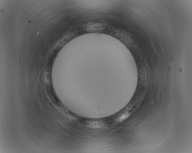 X0000078280755200612011744