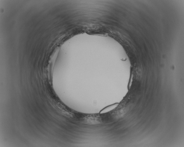 X0000078280756200612011744