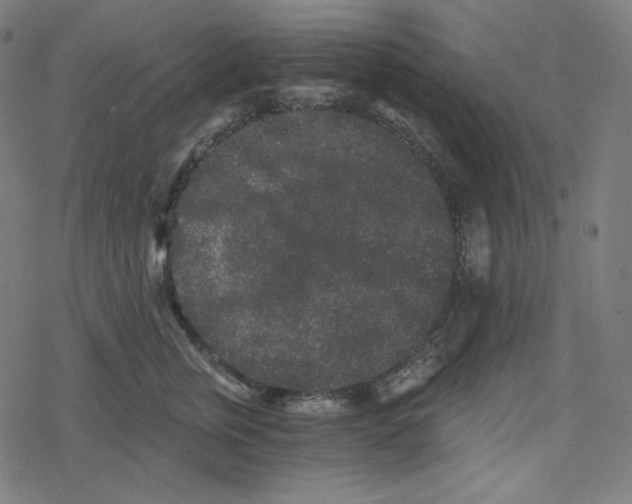 X0000078280759200612011744