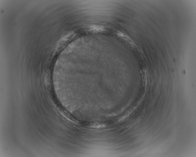 X0000078280760200612011744