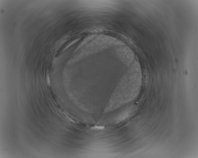 X0000078280762200612011744