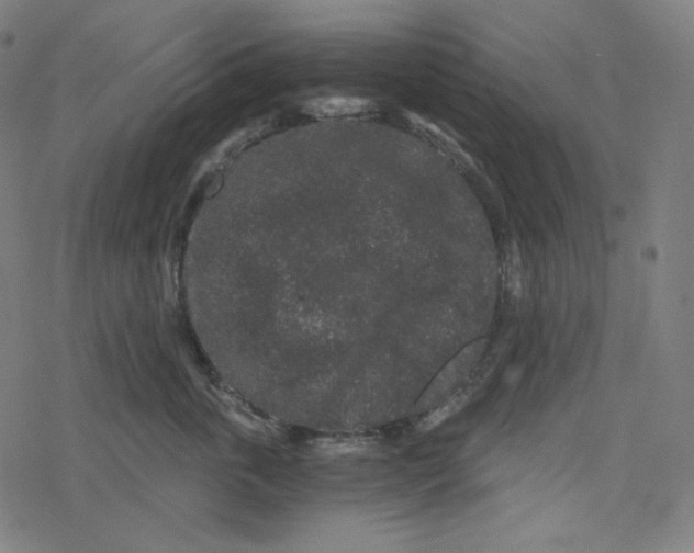 X0000078280763200612011744