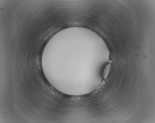 X0000078280764200612011744