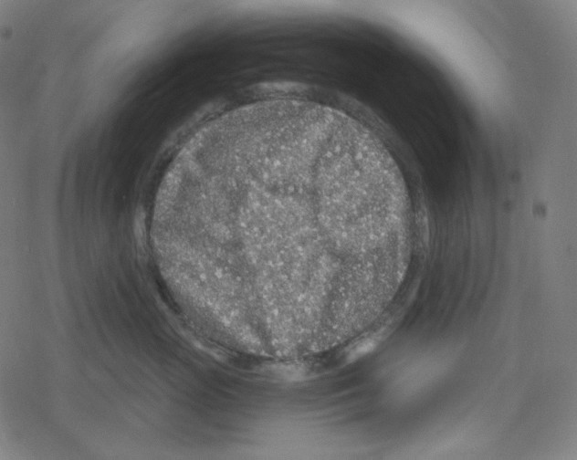 X0000078280765200612011744