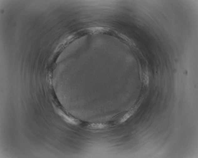 X0000078280766200612011744