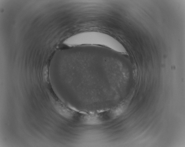 X0000078280767200612011744