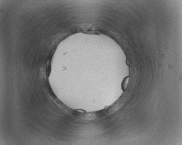 X0000078280768200612011744