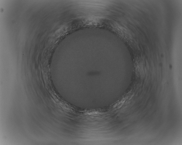 X0000078280769200612011743