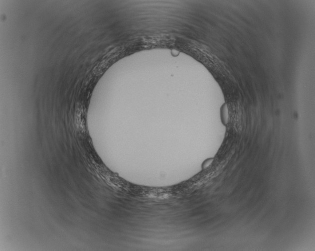 X0000078280770200612011743