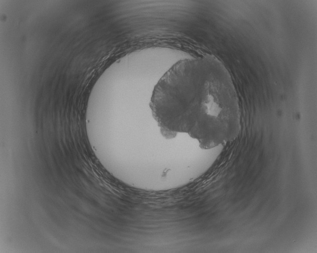 X0000078280772200612011743