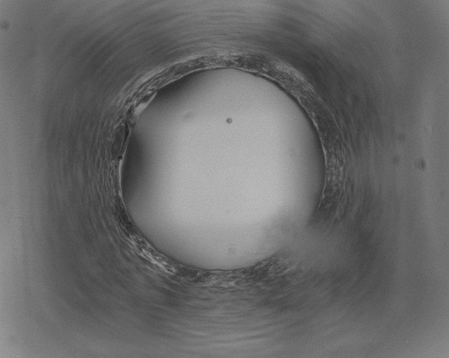 X0000078280773200612011743