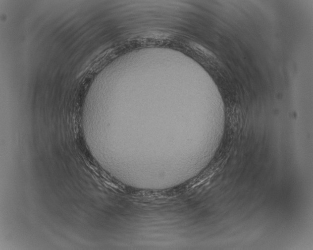 X0000078280774200612011743