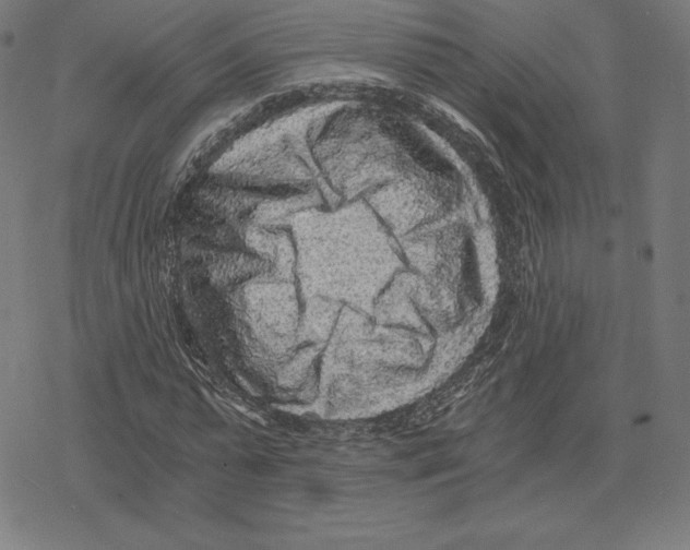 X0000078280775200612011743