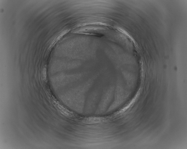 X0000078280777200612011743