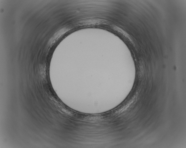 X0000078280778200612011743