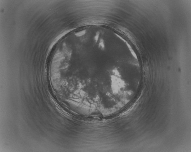 X0000078280779200612011743