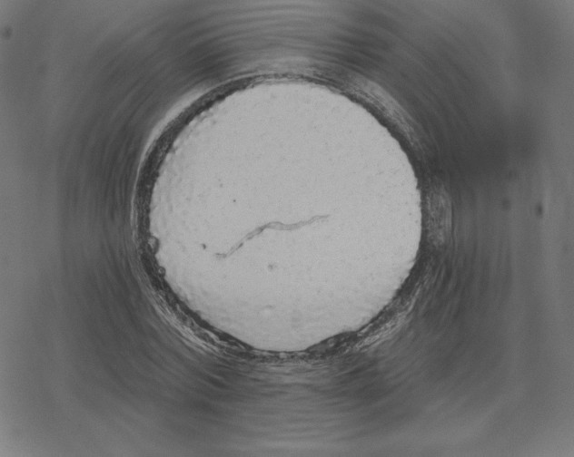 X0000078280780200612011743