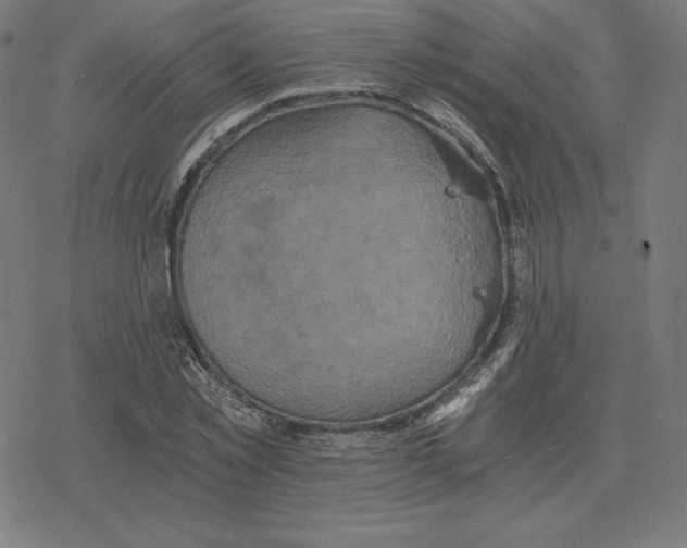 X0000078280781200612011743