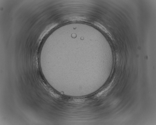 X0000078280782200612011743