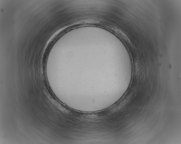 X0000078280784200612011743