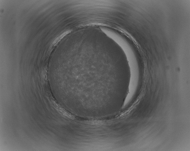 X0000078280785200612011743