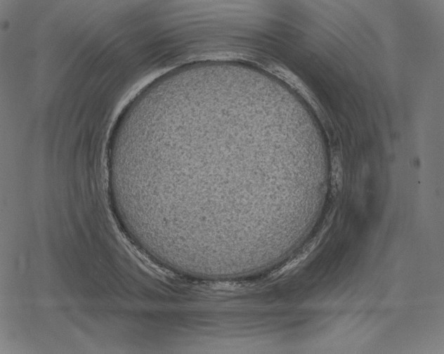 X0000078280787200612011743