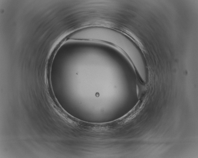 X0000078280788200612011743