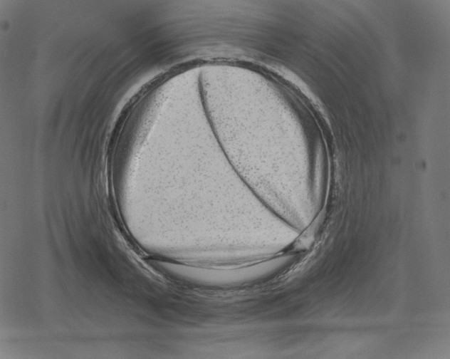 X0000078280791200612011743