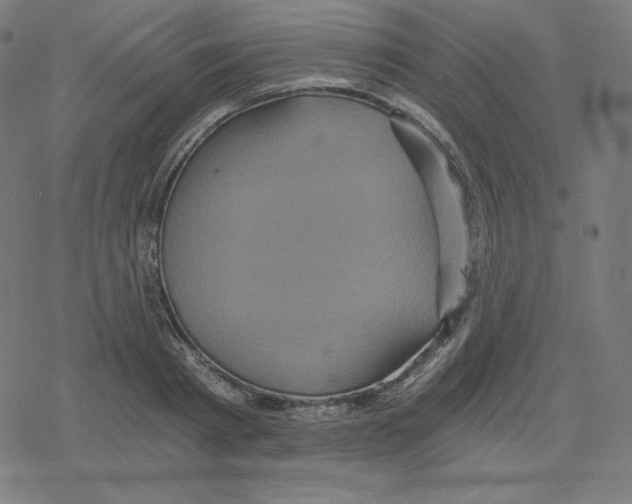 X0000078280793200612011743