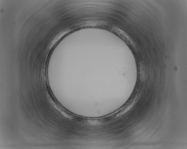 X0000078280794200612011743