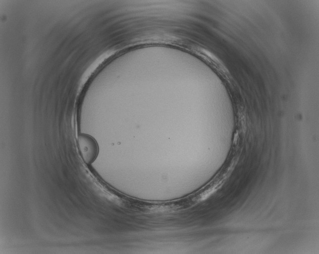 X0000078280796200612011743