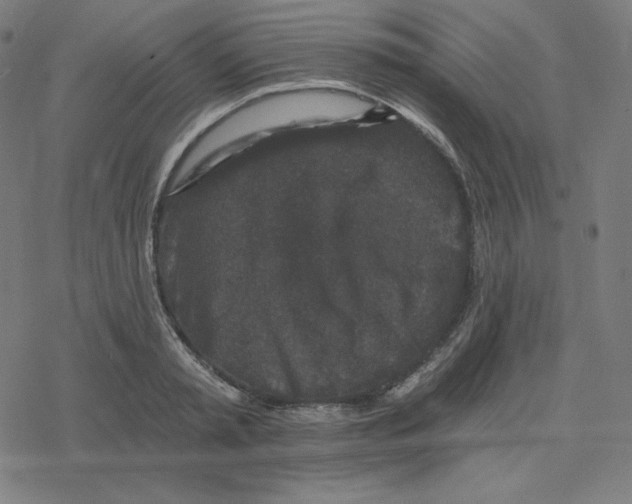 X0000078280797200612011743