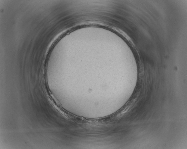 X0000078280799200612011743