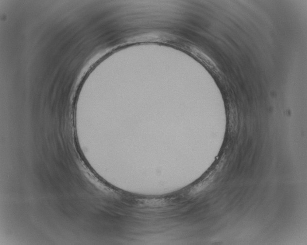 X0000078280800200612011743