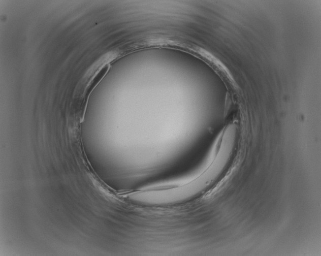 X0000078280801200612011743