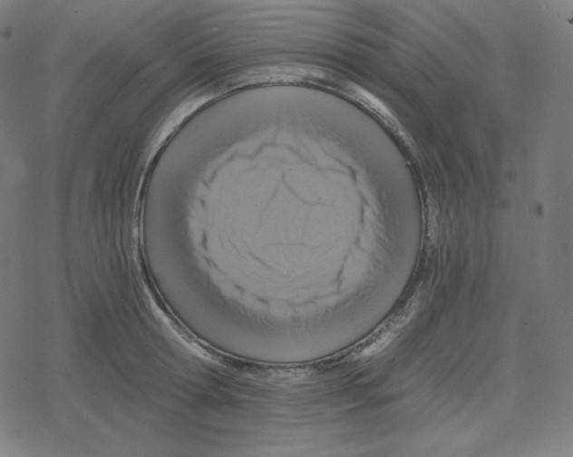 X0000078280802200612011743