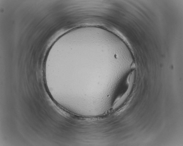 X0000078280803200612011743