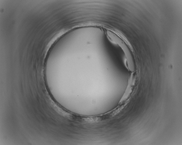 X0000078280805200612011743