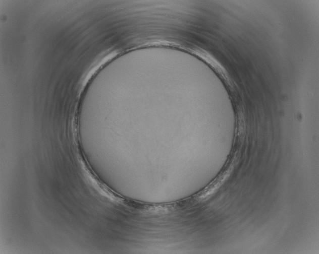 X0000078280806200612011743