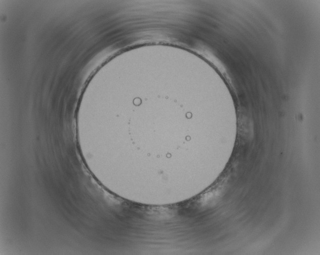 X0000078280807200612011743