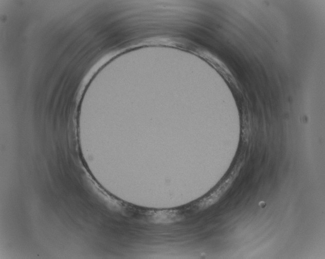 X0000078280808200612011743