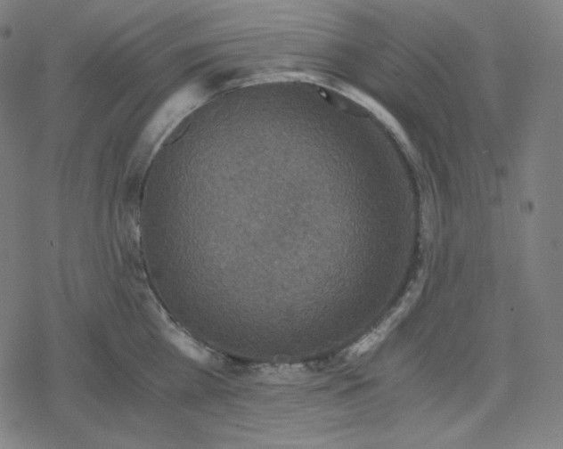 X0000078280809200612011743