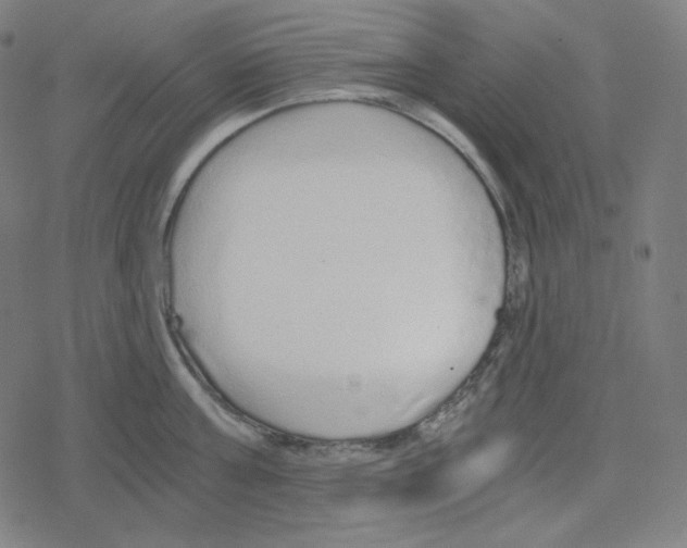 X0000078280811200612011743