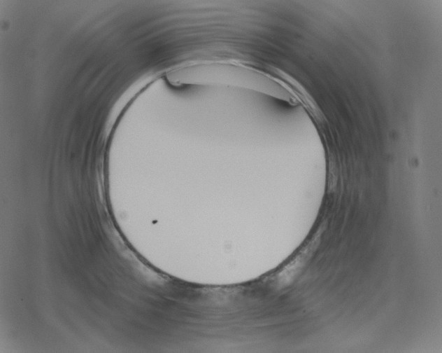 X0000078280812200612011743